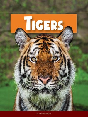 Tigers - ebook